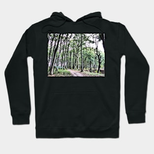 In the forest Hoodie